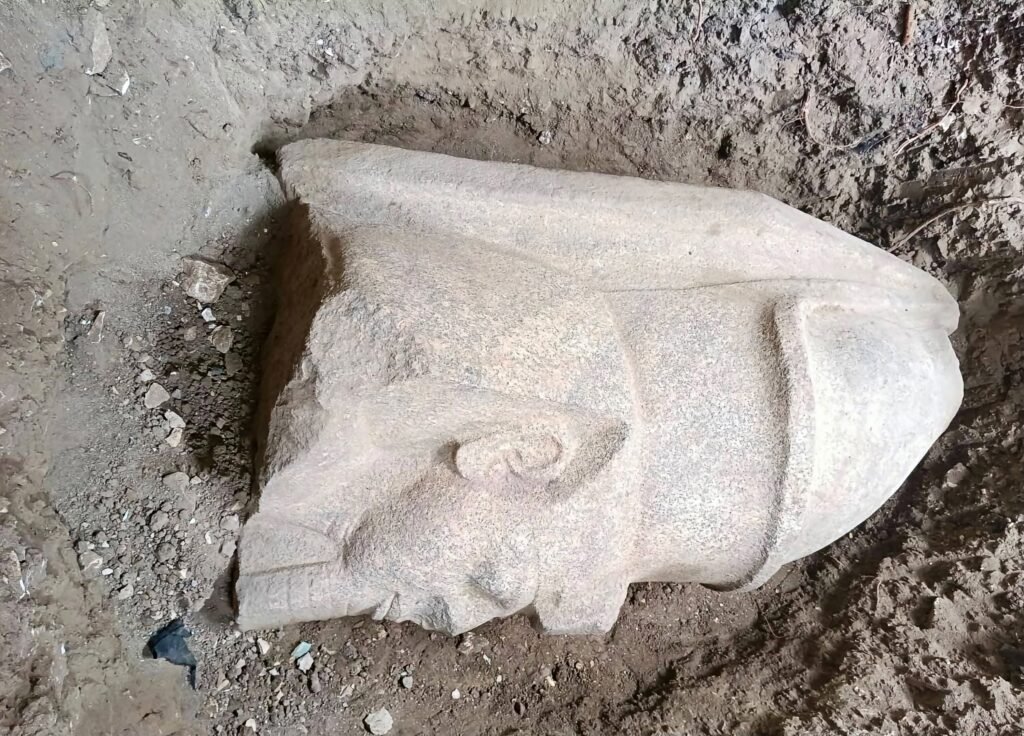 مفاجأة أثرية في الغربية.. بهبيت الحجارة تكشف عن تمثالين ضخمين لرمسيس الثاني