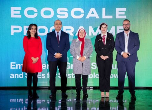 بحضور رئيس جهاز تنظيم إدارة المخلفات وممثل الوكالة الألمانية للتعاون الدولي..مصر الخير تختتم  برنامج «Ecoscale»