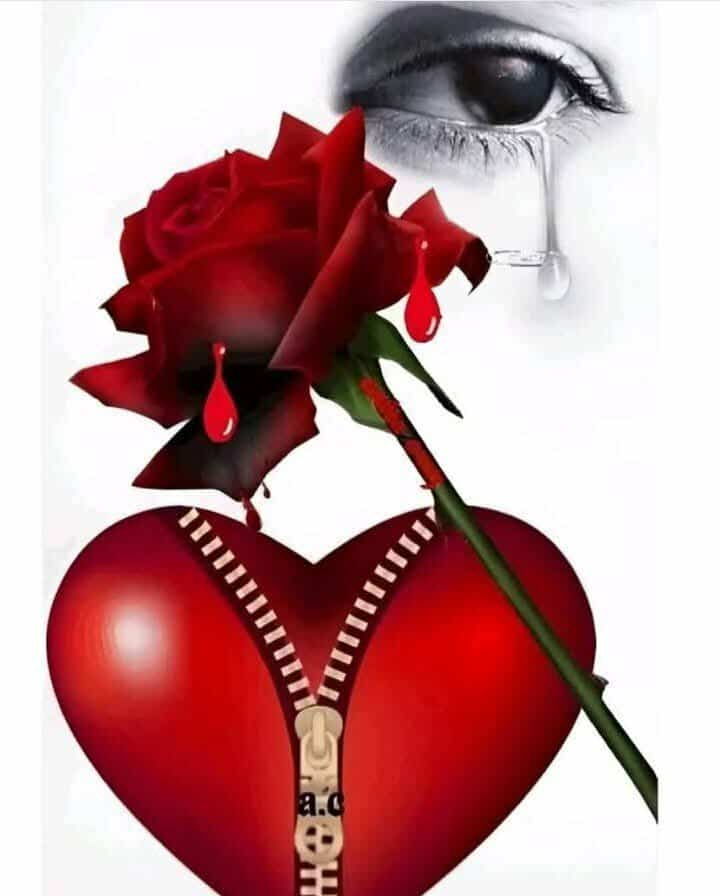 حبيبى أجبرت على الابتعاد