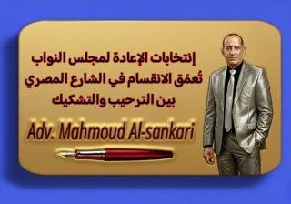 إنتخابات الإعادة لمجلس النواب تُعمّق الانقسام في الشارع المصري بين الترحيب والتشكيك